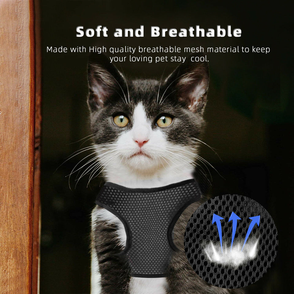Mesh Padded Soft Puppy Pet Dog Cat Harness Breathable Comfortable Vest M L XL